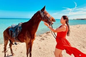 A majestic horse performing at the Arabian Horses show in Sahl Hasheesh.