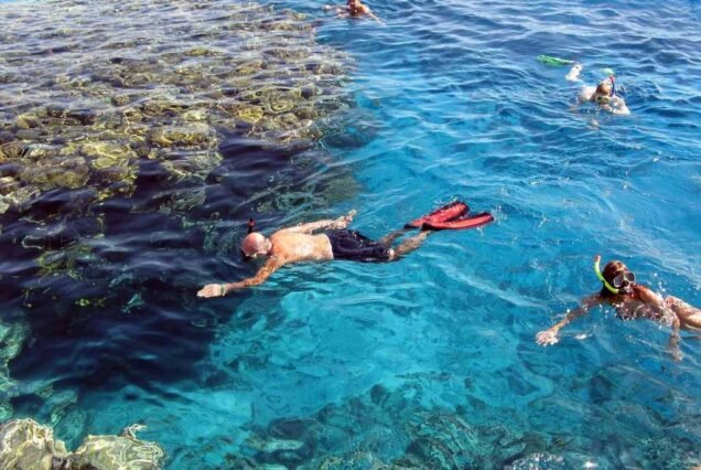 A tourist swimming and snorkeling in the pristine waters of Marsa Alam.