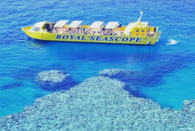 Royal Sea Scope: Underwater Views & Marine Life