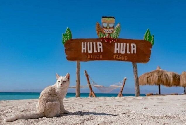 Hula Hula Island Hurghada: Snorkel, Dance & Discover Paradise