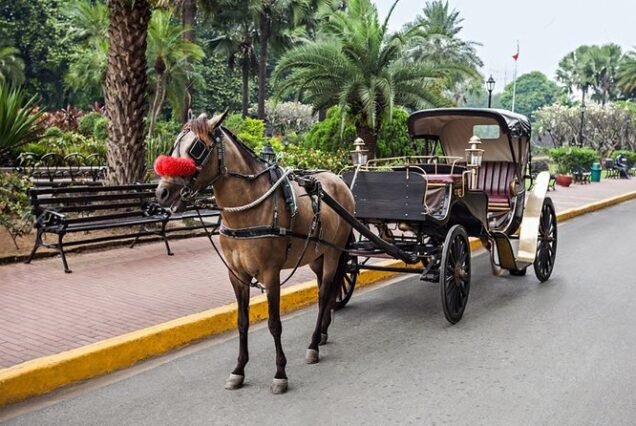 Carriage Ride Night: Romance, Dinner & Live Shows