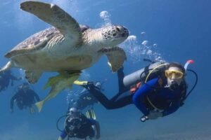  Aventure de plongée à Hurghada : Découvrez la meilleure expérience de plongée en mer Rouge 2026