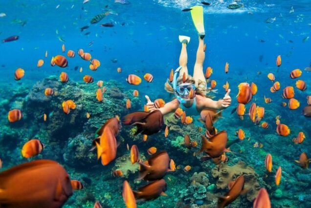 Capturing underwater photography moments with magical coral formations.