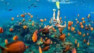 Snorkeling in crystal clear water at Hamata Islands coral reefs.Sataya Overnight: Dolphins, Diving & Reef Magic | 2026