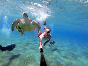 Ultimate Marsa Mubarak Tour: Swim with Dugongs & Turtles 2026