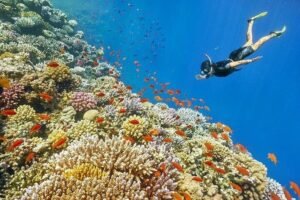 Viaggio sulla spiaggia di Sharm El Luli | Migliore escursione a Marsa Alam 2026