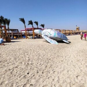 Abu Dabbab Beach Adventure: Ultimate Turtle & Dugong Tour 2026