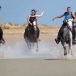 Jízda na koni na Zlaté pláži v Marsa Alam – Vyzkoušejte si jízdu na koni v Marsa Alam