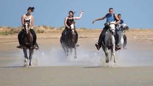Horse Riding on Marsa Alam Golden Beach