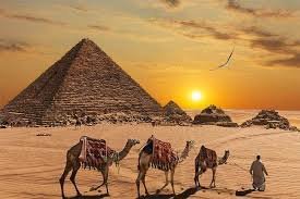 Ultimate Cairo Bus Tour: Pyramids & Museum (Best Price 2026)