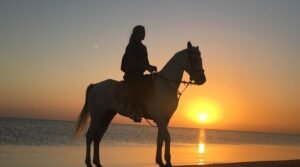 Horse Riding Marsa Alam Beach