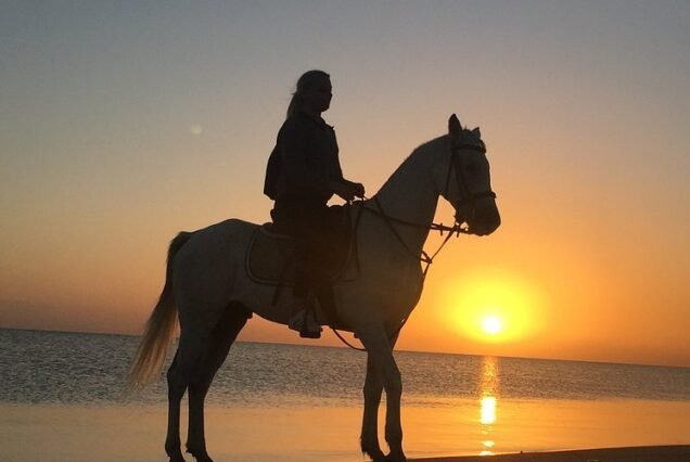Alt Text: Romantic Marsa Alam sunset horse ride for couples on the private beachfront