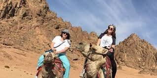 The lonely Acacia Tree, a famous scenic stop during the Super Safari adventure.