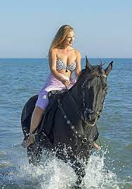 Horse Riding on Marsa Alam Golden Beach