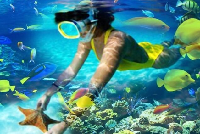Sharm El Naga: Snorkeling, Beaches & Relaxation