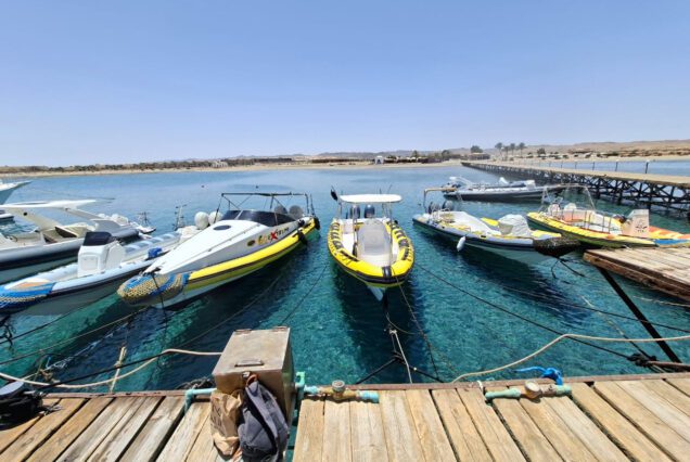 Marsa Alam Speed Boat Trip